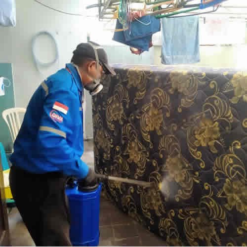 Jasa Pembasmi Kutu Kasur di Jakarta