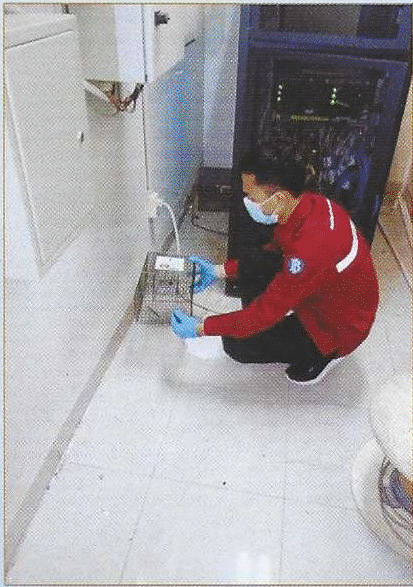 Diva Pest Control Pembasmi Tikus