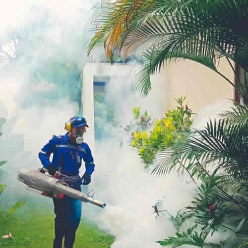 Fogging Nyamuk di Malang