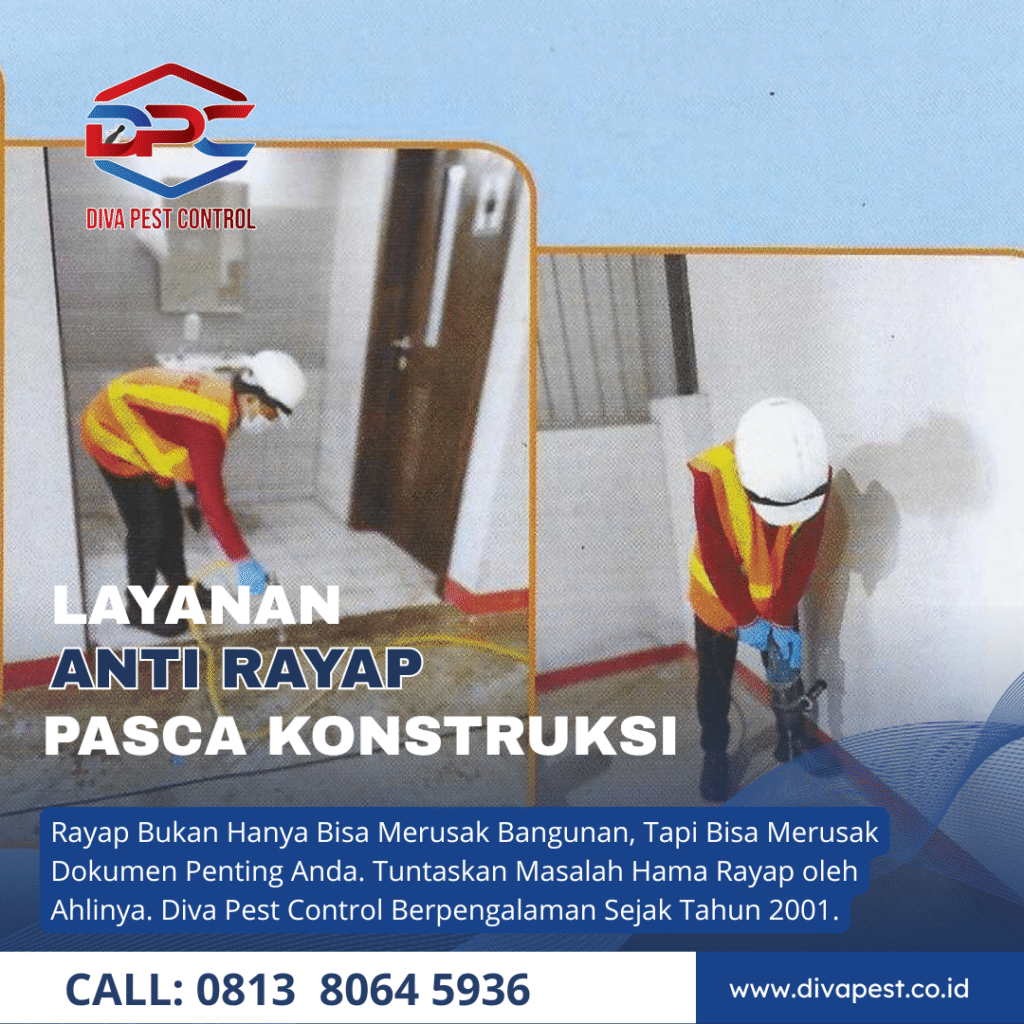 Jasa Anti Rayap di Jakarta Selatan Metode Baiting atau Umpan
