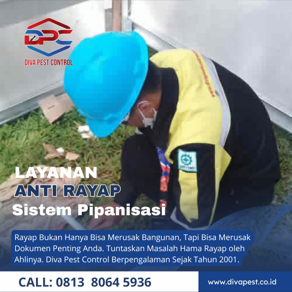 Jasa Anti Rayap di Malang Metode Pipanisasi atau Retikulasi