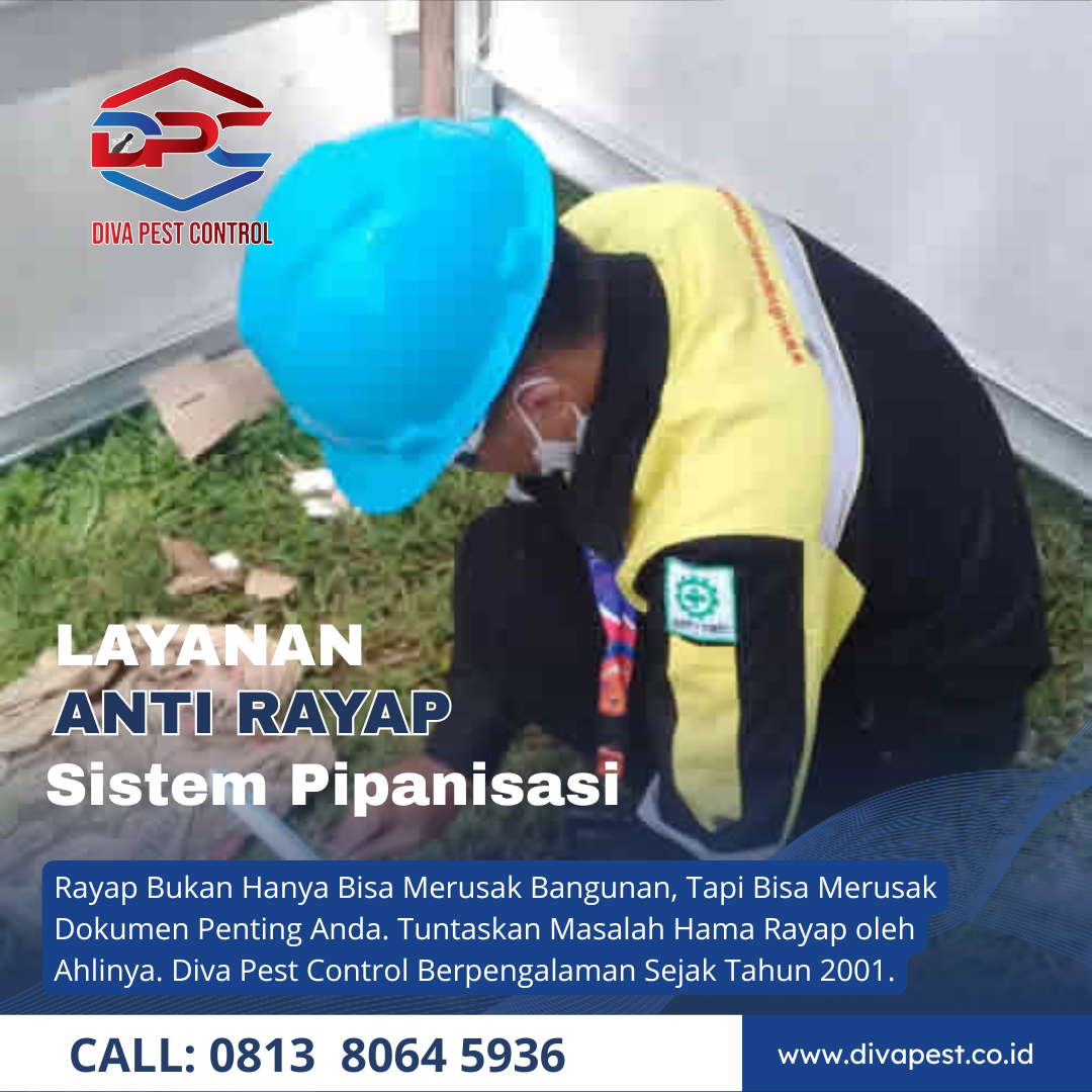 Jasa Anti Rayap di Depok Teknisi Profesional Hasil Terjamin