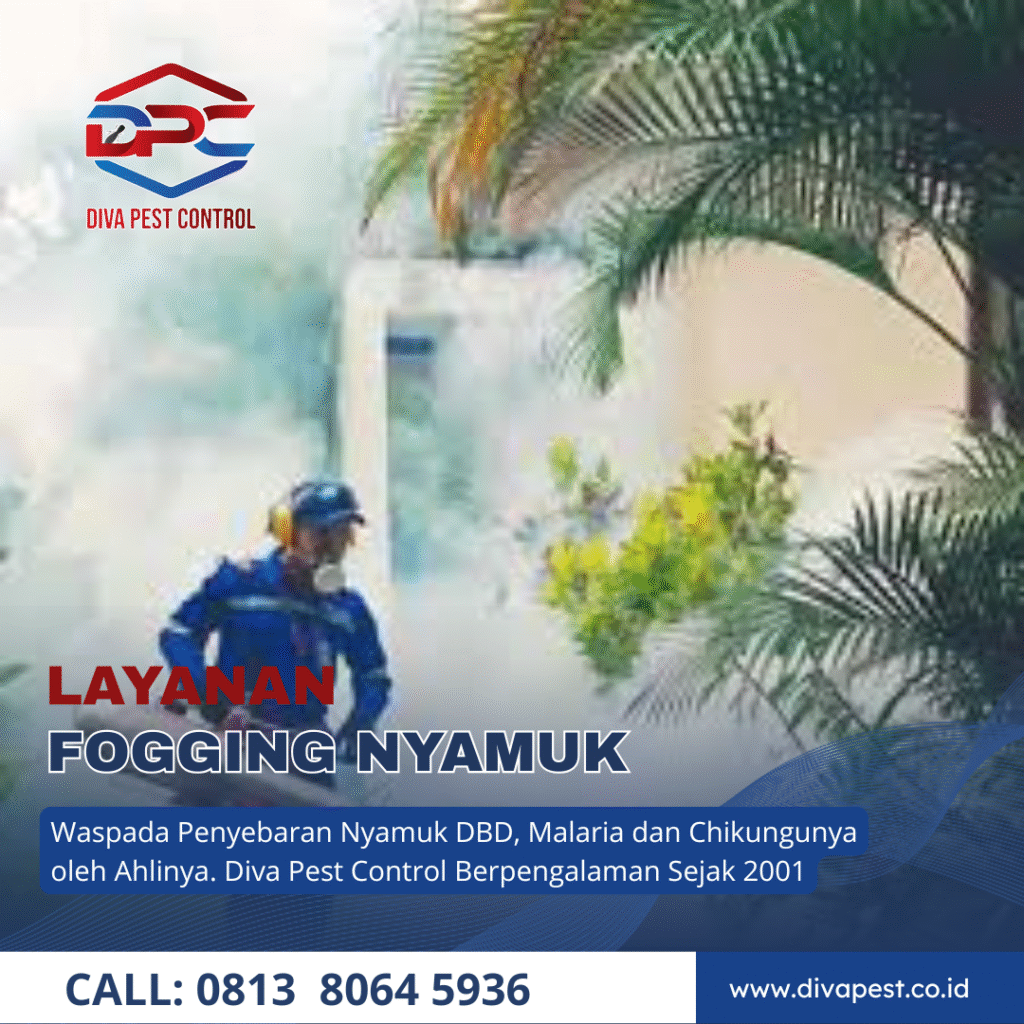 Jasa Fogging Nyamuk di Surabaya Barat Sudah Pengalaman