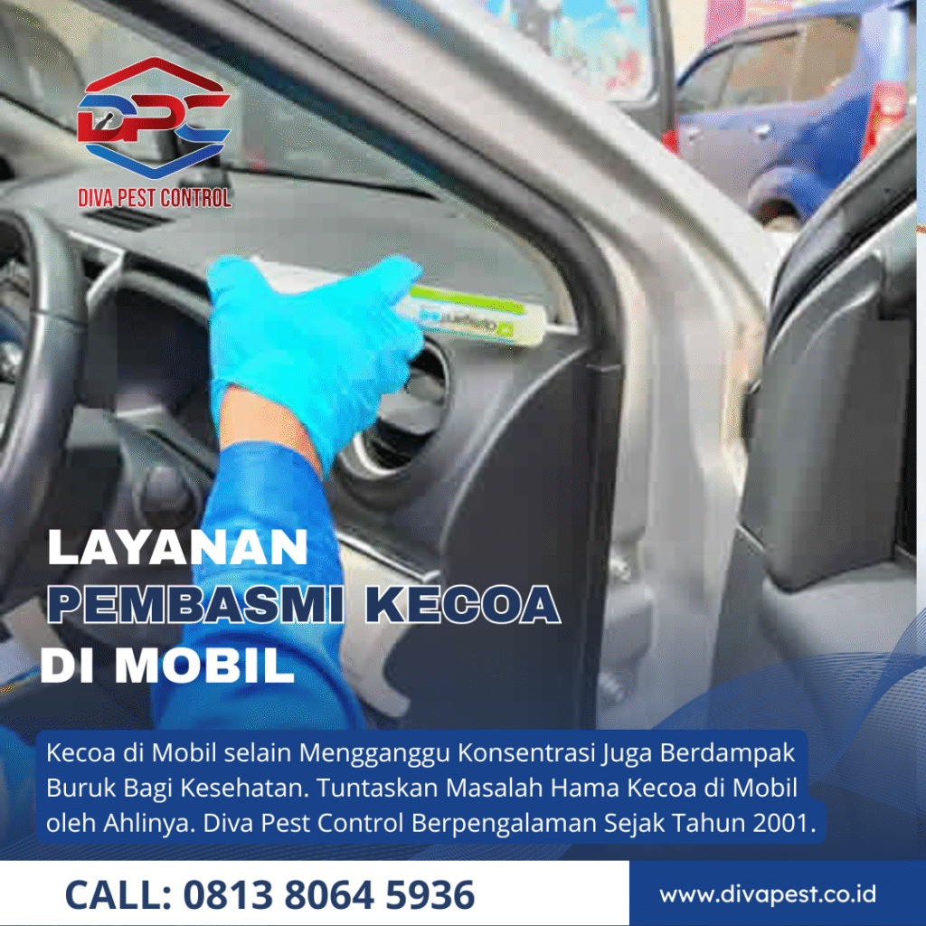 Jasa Pembasmi Kecoa Mobil di Jakarta Selatan Terbaik