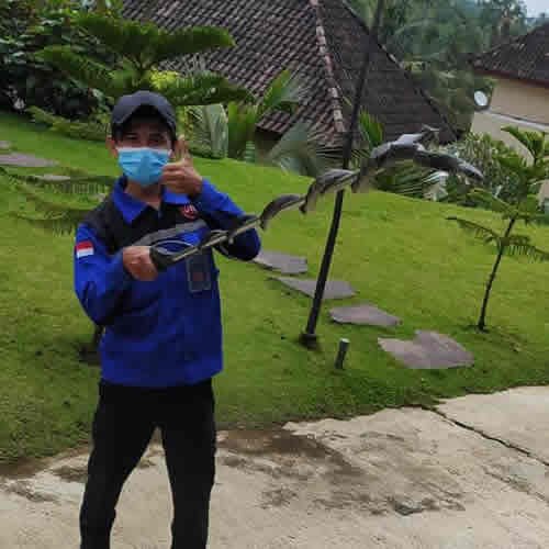 Jasa Pembasmi Ular di Malang Pawang Ular Profesional dan Murah