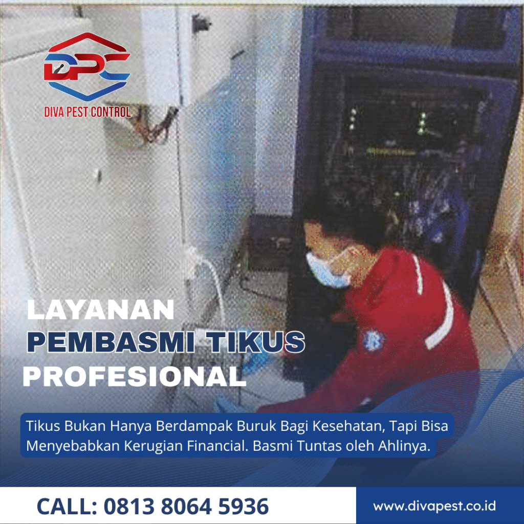Jasa Pembasmi Tikus di Depok Berpengalaman Hasil Terjamin