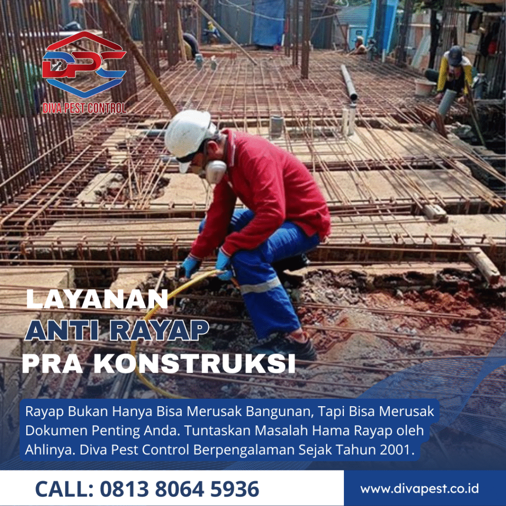 Jasa Pembasmi Rayap Malang Pra & Pasca Konstruksi