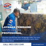 Jasa Pembasmi Kutu Kasur dan Kutu Busuk Terbaik