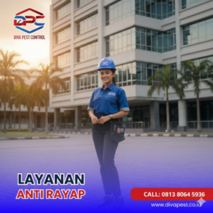 Jasa Anti Rayap Terdekat dan Berkualitas