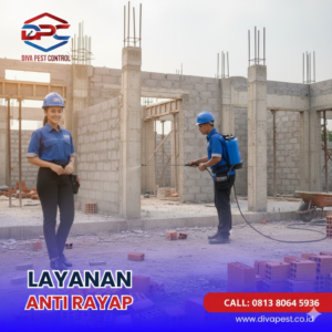 Jasa Anti Rayap Terdekat dan Berpengalaman