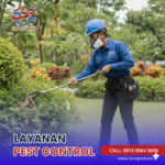 Jasa Pembasmi Ular di Malang