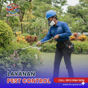 Jasa Pembasmi Ular di Malang